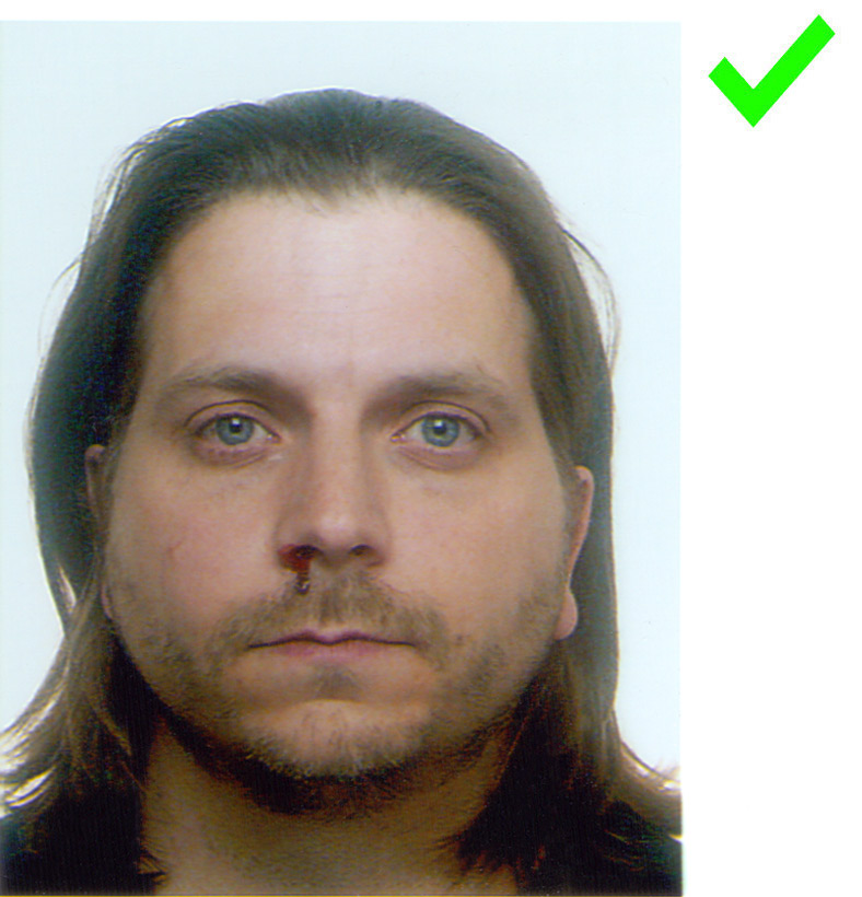 Sebastian Jung – Artist – Passport Hacker